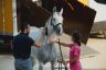 Palio 16 agosto 2019: la fotogallery della prima giornata di Previsite